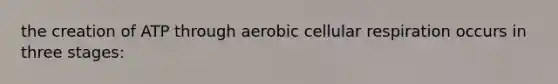 the creation of ATP through aerobic cellular respiration occurs in three stages: