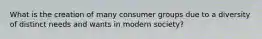 What is the creation of many consumer groups due to a diversity of distinct needs and wants in modern society?