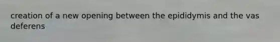 creation of a new opening between the epididymis and the vas deferens