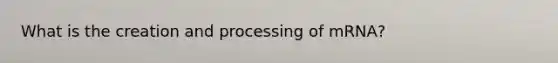 What is the creation and processing of mRNA?