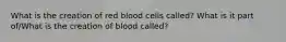 What is the creation of red blood cells called? What is it part of/What is the creation of blood called?