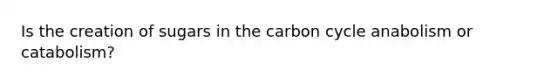 Is the creation of sugars in <a href='https://www.questionai.com/knowledge/kMvxsmmBPd-the-carbon-cycle' class='anchor-knowledge'>the carbon cycle</a> anabolism or catabolism?