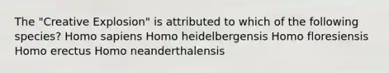 The "Creative Explosion" is attributed to which of the following species? <a href='https://www.questionai.com/knowledge/k9aqcXDhxN-homo-sapiens' class='anchor-knowledge'>homo sapiens</a> Homo heidelbergensis Homo floresiensis <a href='https://www.questionai.com/knowledge/kI1ONx7LAC-homo-erectus' class='anchor-knowledge'>homo erectus</a> Homo neanderthalensis