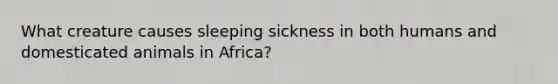 What creature causes sleeping sickness in both humans and domesticated animals in Africa?