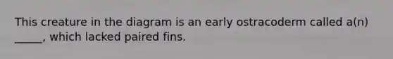 This creature in the diagram is an early ostracoderm called a(n) _____, which lacked paired fins.