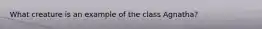 What creature is an example of the class Agnatha?