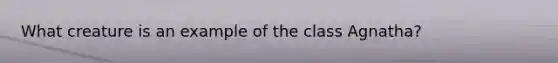 What creature is an example of the class Agnatha?