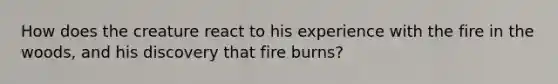 How does the creature react to his experience with the fire in the woods, and his discovery that fire burns?