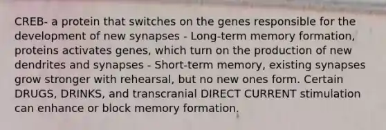 CREB- a protein that switches on the genes responsible for the development of new synapses - Long-term memory formation, proteins activates genes, which turn on the production of new dendrites and synapses - Short-term memory, existing synapses grow stronger with rehearsal, but no new ones form. Certain DRUGS, DRINKS, and transcranial DIRECT CURRENT stimulation can enhance or block memory formation.