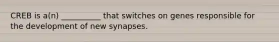 CREB is a(n) __________ that switches on genes responsible for the development of new synapses.