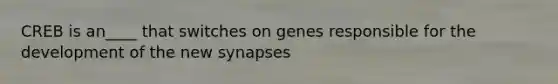 CREB is an____ that switches on genes responsible for the development of the new synapses