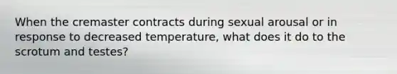 When the cremaster contracts during sexual arousal or in response to decreased temperature, what does it do to the scrotum and testes?