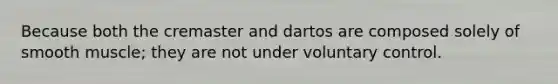 Because both the cremaster and dartos are composed solely of smooth muscle; they are not under voluntary control.