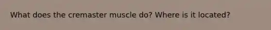 What does the cremaster muscle do? Where is it located?