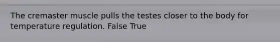 The cremaster muscle pulls the testes closer to the body for temperature regulation. False True