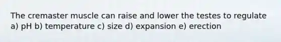 The cremaster muscle can raise and lower the testes to regulate a) pH b) temperature c) size d) expansion e) erection