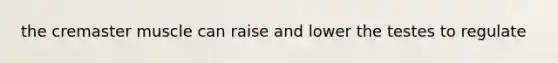 the cremaster muscle can raise and lower the testes to regulate