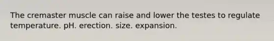 The cremaster muscle can raise and lower the testes to regulate temperature. pH. erection. size. expansion.