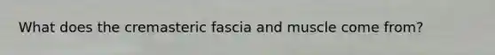 What does the cremasteric fascia and muscle come from?