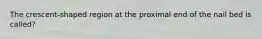 The crescent-shaped region at the proximal end of the nail bed is called?