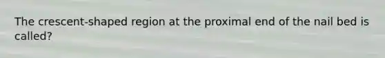The crescent-shaped region at the proximal end of the nail bed is called?