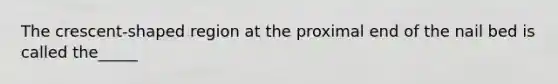 The crescent-shaped region at the proximal end of the nail bed is called the_____