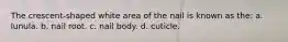The crescent-shaped white area of the nail is known as the: a. lunula. b. nail root. c. nail body. d. cuticle.