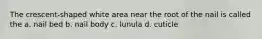 The crescent-shaped white area near the root of the nail is called the a. nail bed b. nail body c. lunula d. cuticle