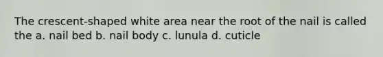 The crescent-shaped white area near the root of the nail is called the a. nail bed b. nail body c. lunula d. cuticle