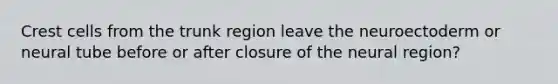 Crest cells from the trunk region leave the neuroectoderm or neural tube before or after closure of the neural region?