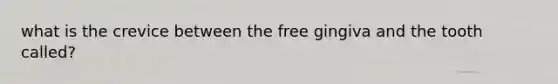 what is the crevice between the free gingiva and the tooth called?