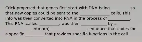 Crick proposed that genes first start with DNA being _________ so that new copies could be sent to the _______________ cells. This info was then converted into RNA in the process of ___________. This RNA, called __________, was then _____________ by a _____________ into a(n) ________ _________ sequence that codes for a specific _________ that provides specific functions in the cell