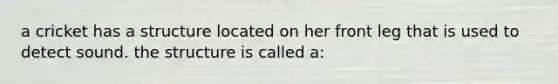 a cricket has a structure located on her front leg that is used to detect sound. the structure is called a: