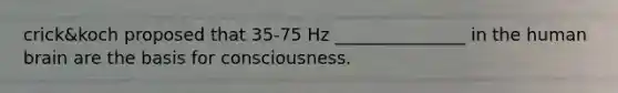 crick&koch proposed that 35-75 Hz _______________ in the human brain are the basis for consciousness.