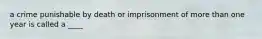 a crime punishable by death or imprisonment of more than one year is called a ____