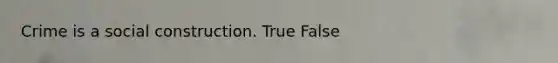 Crime is a social construction. True False