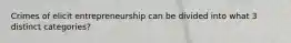 Crimes of elicit entrepreneurship can be divided into what 3 distinct categories?