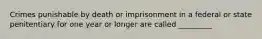 Crimes punishable by death or imprisonment in a federal or state penitentiary for one year or longer are called _________​