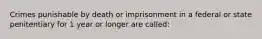 Crimes punishable by death or imprisonment in a federal or state penitentiary for 1 year or longer are called: