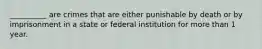 __________ are crimes that are either punishable by death or by imprisonment in a state or federal institution for more than 1 year.