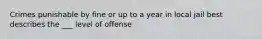 Crimes punishable by fine or up to a year in local jail best describes the ___ level of offense