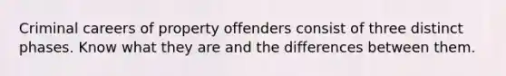 Criminal careers of property offenders consist of three distinct phases. Know what they are and the differences between them.