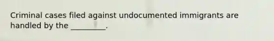 Criminal cases filed against undocumented immigrants are handled by the _________.