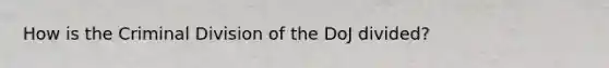 How is the Criminal Division of the DoJ divided?