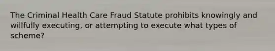 The Criminal Health Care Fraud Statute prohibits knowingly and willfully executing, or attempting to execute what types of scheme?