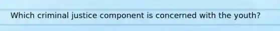 Which criminal justice component is ​concerned with the youth​?