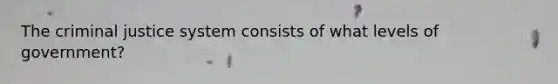 The criminal justice system consists of what levels of government?