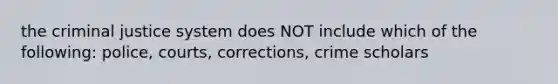 the criminal justice system does NOT include which of the following: police, courts, corrections, crime scholars