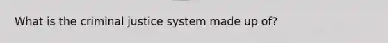 What is the criminal justice system made up of?
