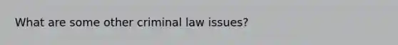 What are some other criminal law issues?